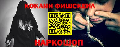 индика Пенза