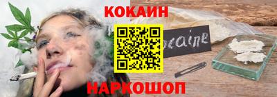индика Пенза
