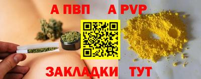 индика Пенза