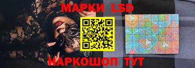 индика Пенза