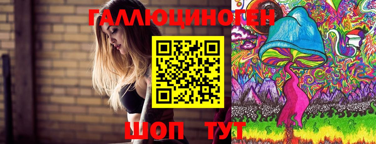 Псилоцибиновые грибы Cubensis  Галлюциногенные грибы прущие грибы  Северобайкальск  Вход с VPN 
